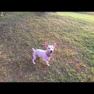 Meet your Posher, Candace